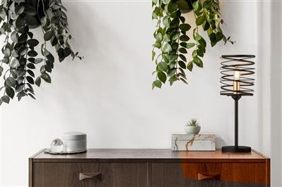 Spring Table Lamp