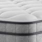 Single Mattress By Sealy