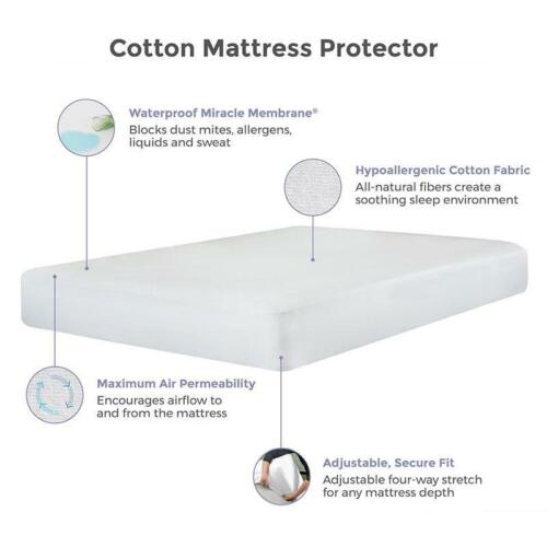 Protect-A-Bed Mattress Protector Cotton Cool